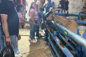 Medellín: En natt i El Cielo Viewpoint med aktiviteter