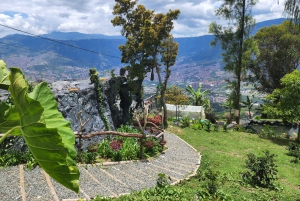 Medellin: Glamping Spa and coffe tour Experience