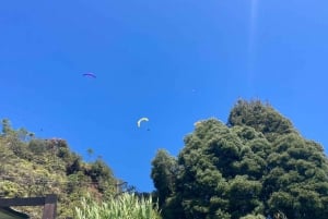 Medellín Paragliding - Go Pro Included