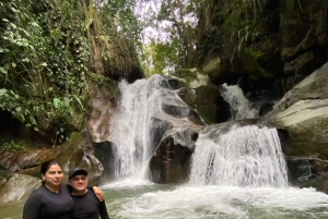 Medellín: Experiência na plantação de ananás com degustação