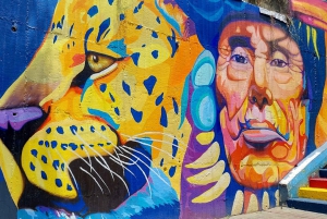 Medellín: Private City Tour with Metrocable and Comuna 13