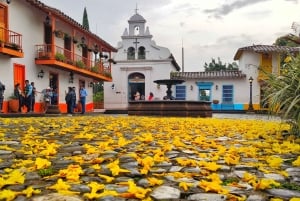 Medellín: Prywatna wycieczka po mieście z Metrocable i Comuna 13