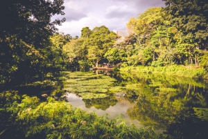 Medellin: Private City Tour