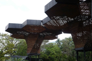 Medellin: Privat bytur