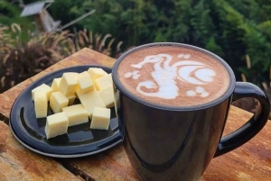 MEDELLÍN: PRIVAT TUR MED MATUPPLEVELSE OCH DE BÄSTA UTSIKTSPLATSERNA!