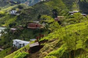 Medellín: Yksityinen Guatapé, El Peñol, kahvi- ja kaakaomaistiaiset