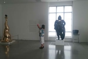 Medellin: Privé Museumrondleiding met Ophalen Hotel