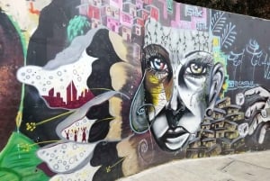 Medellín: Private Pablo Escobar i Comuna 13 Tour