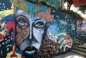 Medellín: Private Pablo Escobar i Comuna 13 Tour