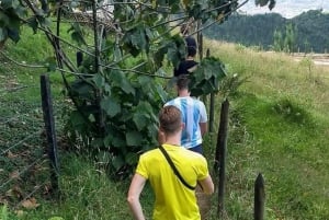 Medellín : visite privée sur les traces de Pablo Escobar