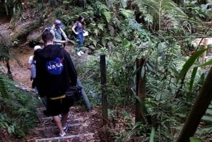 Medellín : visite privée sur les traces de Pablo Escobar