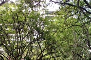 Medellín: transporte particular aeroporto José Maria Cordova