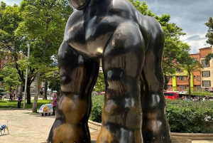 Medellin: Tour privado VIP, Historia completa de Botero, Bellas artes,Museo