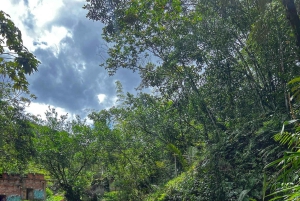 Medellín: BOQUERÓN CANYON HIKING