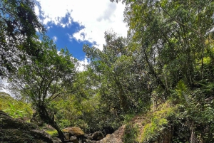 Medellín: BOQUERÓN CANYON HIKING