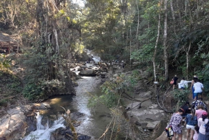Медельин: однодневная поездка с тубингом по реке и барбекю с трансфером из отеля