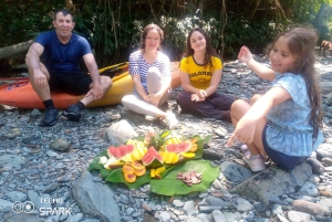 Медельин: однодневная поездка с тубингом по реке и барбекю с трансфером из отеля