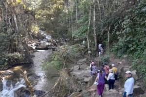 Медельин: однодневная поездка с тубингом по реке и барбекю с трансфером из отеля