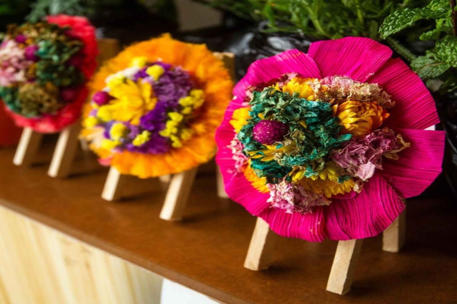 メデジン発：サンタ・エレナ花畑ツアー