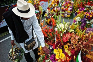 メデジン発：サンタ・エレナ花畑ツアー