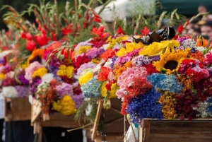 メデジン発：サンタ・エレナ花畑ツアー