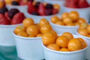 Medellín: Tagestour nach Santa Fe de Antioquia