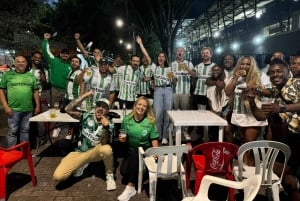 Voetbalwedstrijd in Medellín: tickets en pre-game