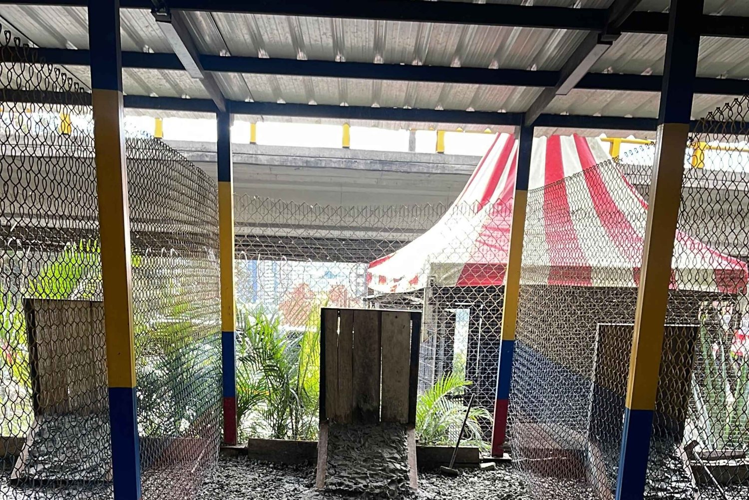 Medellín: deporte del tejo con comida y bebida