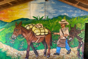 Medellin: Tour agro vive una experiencia mágica y didáctica
