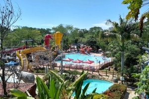 Medellin: Tour Hacienda Napoles+Passport Safari Premium VIP