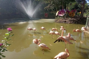 Medellin: Tour Hacienda Napoles+Passport Safari Premium VIP