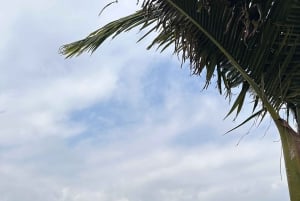 メデジン：グアタペ、ペニョール、ボートツアー、昼食と朝食付き