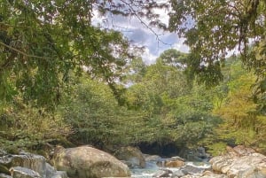 Medellín: GUATAPÉ RIVER TUBING
