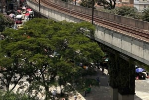 Stadsrondleiding door Medellín: heuvels, geschiedenis, wijken en veerkracht