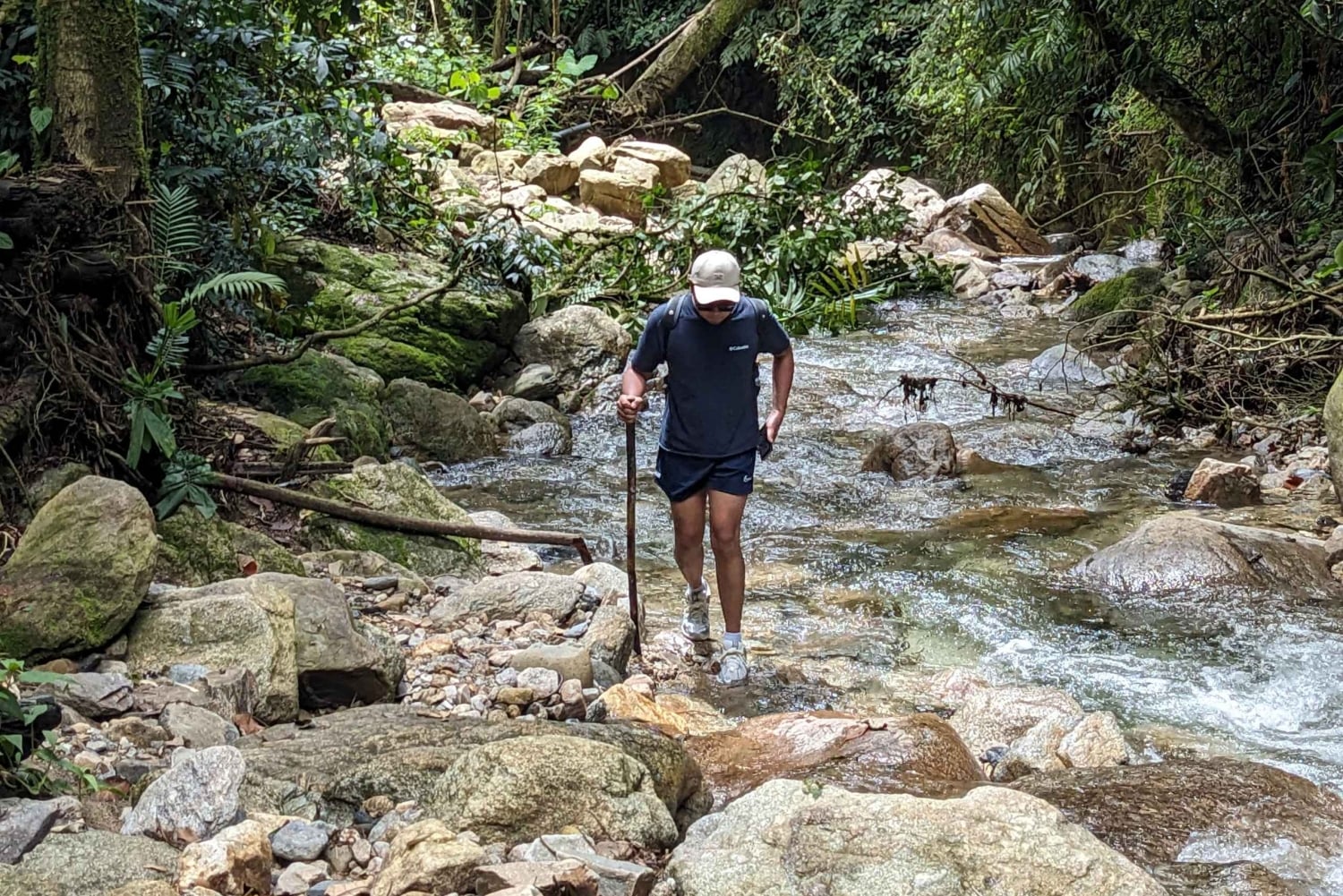 Wodospad Medellín i wędrówka po kawie: pradawny szlak przyrodniczy