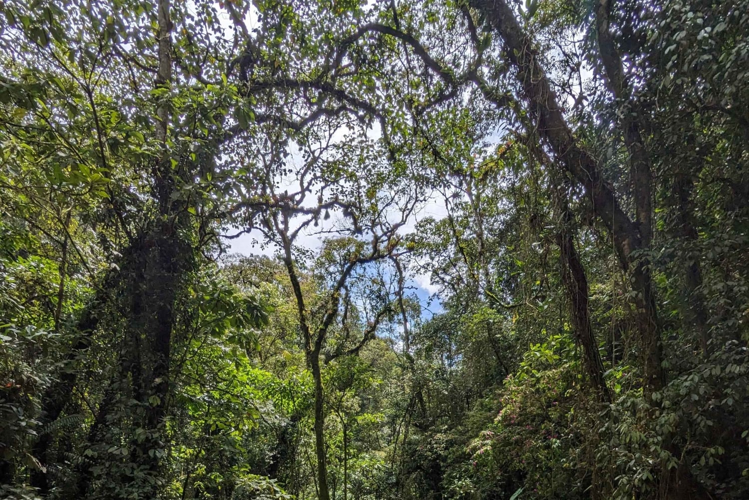 Wodospad Medellín i wędrówka po kawie: pradawny szlak przyrodniczy