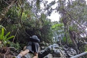 Wodospad Medellín i wędrówka po kawie: pradawny szlak przyrodniczy