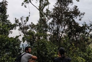 Wodospad Medellín i wędrówka po kawie: pradawny szlak przyrodniczy