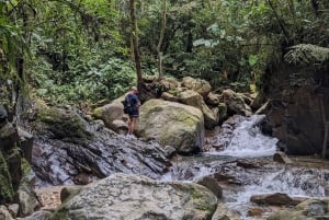 Wodospad Medellín i wędrówka po kawie: pradawny szlak przyrodniczy