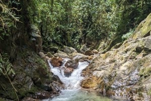 Wodospad Medellín i wędrówka po kawie: pradawny szlak przyrodniczy