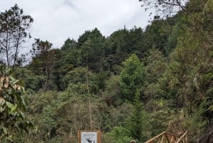 Wodospad Medellín i wędrówka po kawie: pradawny szlak przyrodniczy