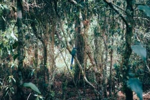 Cascada de Medellín: Camina y descubre la naturaleza de Medellín