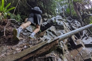 Cascada de Medellín: Camina y descubre la naturaleza de Medellín