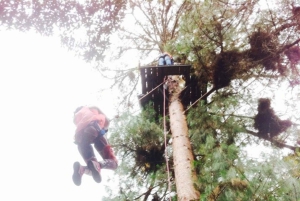 Medellin: Zip Lines