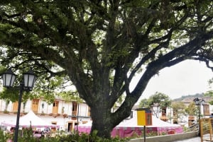 Medellín, vilas mágicas: vilas tradicionais e restaurante do Maluma