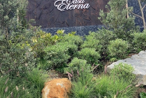 Medellín, vilas mágicas: vilas tradicionais e restaurante do Maluma