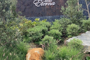 Medellín's magical villages: Traditional villages and Maluma's restaurant