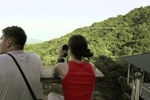 ミンカ：ジャングルジョーと行くシエラネバダ2日ツアー