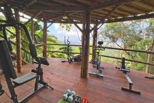 ミンカ：ジャングルジョーと行くシエラネバダ2日ツアー