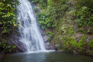 3 WATERFALLS TOUR - MINCA